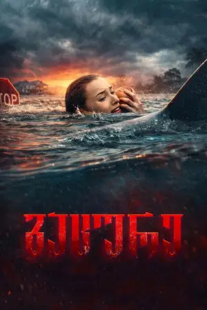 გაცურე / 2026 / ქართულად